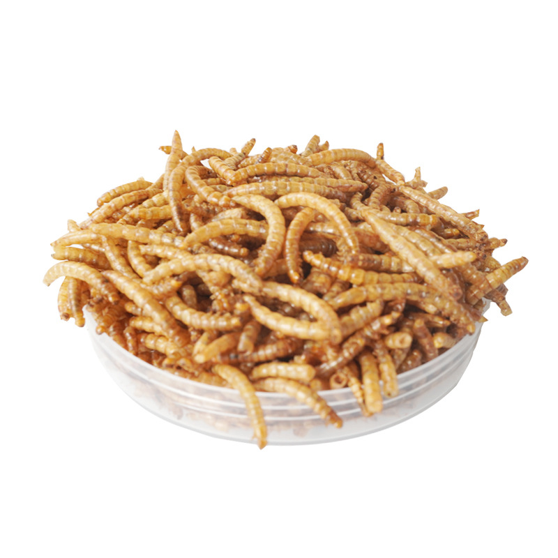 Snacks de Alta Proteína para H - Food Snacks High In Protein reseña y precio